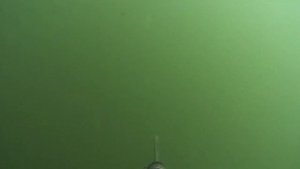 Подводная охота в хакасии