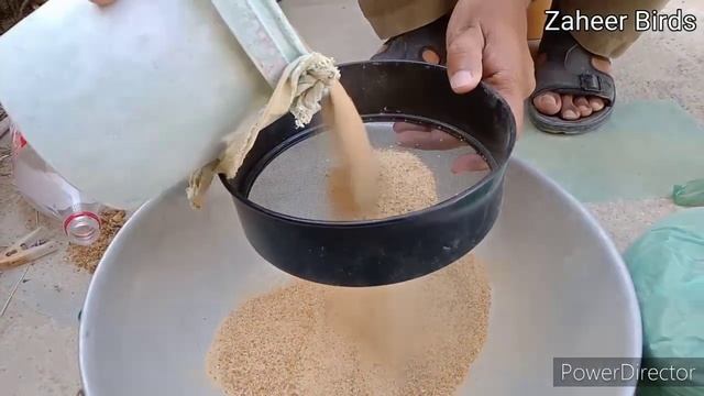 Egg shells Stand for Finch Colony or Java Colony | Save egg shells from dirt & litter | Zaheer Bird смотреть онлайн