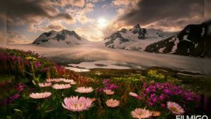 Коран.Исцеление от всех проблем!Сура" Al-bakara "#куран #коран #ислам