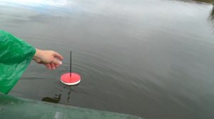 ЩУКА. Поймал  зубастого хищника на живца. Ловля щуки на кружки.