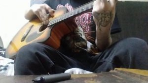 бредишь - обессилен разбор на гитаре от пьяного гитарюги