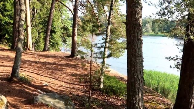 VLOG Купально-банный сезон в разгаре!!! смотреть онлайн