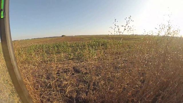 ОХОТА НА ВЯХИРЯ (ЛЕСНОГО ГОЛУБЯ) С ЧУЧЕЛАМИ SPORT PLAST ITALY IM 26-00 R Wood Pigeon Regular Head смотреть онлайн