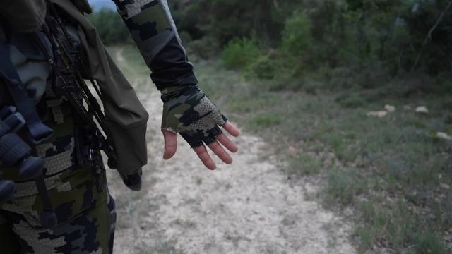 The Whole Season Working For One Oportunity. Bowhunting Roe Deer Spot And Stalk.
