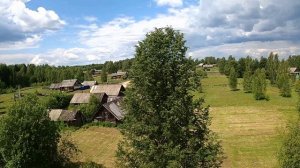 Бабушкин домик в лесу