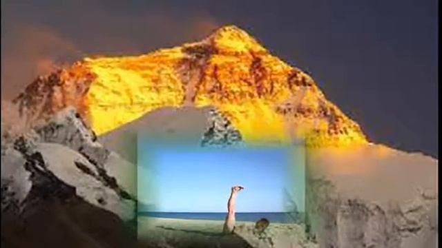 ОКО ВОЗРОЖДЕНИЯ. 5 тибетских жемчужин. I неделя. Проверяю на себе #5. смотреть онлайн