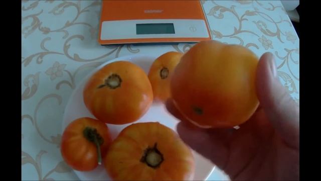 ТОМАТ МАРИЗОЛ ЗОЛОТОЙ (МАРИЗОЛ ГОЛД) . КОЛЛЕКЦИОННЫЙ СОРТ. 2020 смотреть онлайн