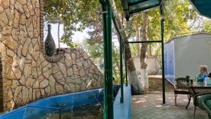 САМАРКАНДСКАЯ СЛОЁНАЯ САМСА в ТАНДЫРЕ!ЗОКИР СОМСА#самарканд#ранокамолова#узбекистан#тандырнаясамса