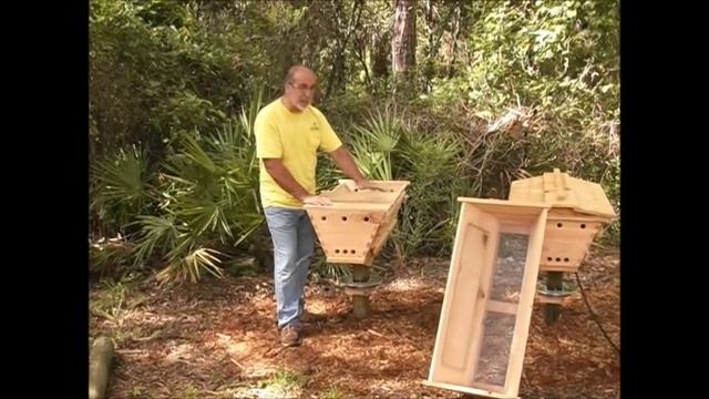 Top Bar Hive Basics смотреть онлайн