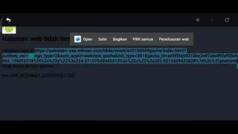 Cara Import Wish Counter Di Paimon Moe || Genshin Impact