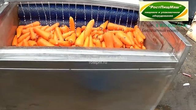 Машина очистки моркови РПМ-МЧ-1000 от РостПищМаш