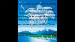 Сколько времени человек может прожить без еды и животные