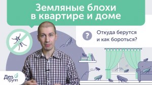 Как вывести блох? | Земляные блохи и постельные блохи | Обработка от блох