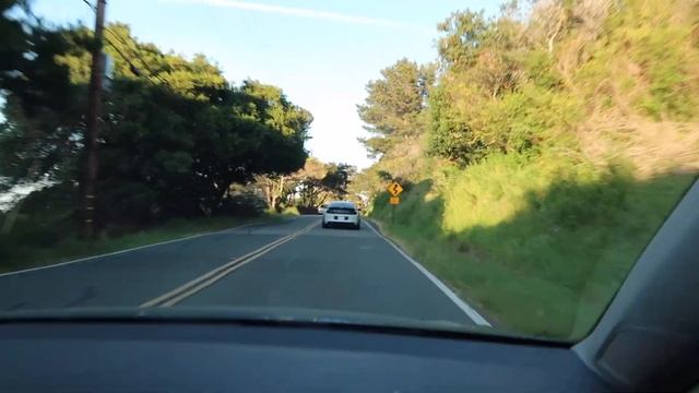 Corsa Xtremes on a Catless 2014 Mustang GT (sound clips) смотреть онлайн