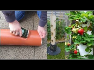 65 примеров Грядок из пластиковых труб