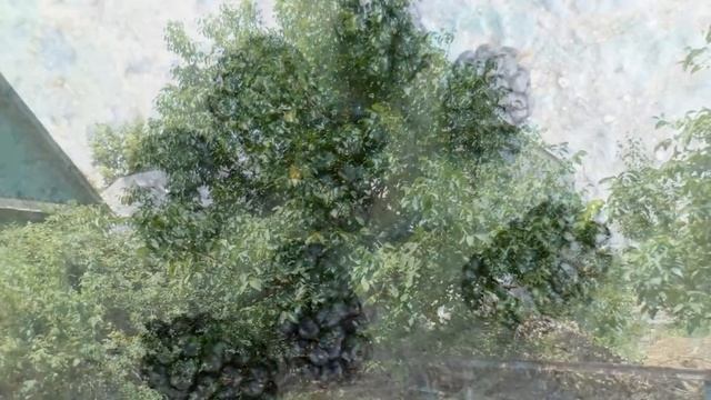 Зелень. Природа. смотреть онлайн