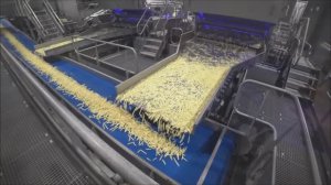 Крупнейшее производство картофеля фри в России. Эксплуатация промышленных полов SIC. Argelith.