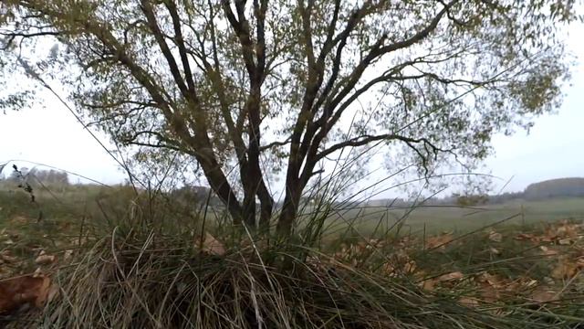 МИЛЛЕРЫ.Вело ПВД.Велозаезд.Велопоход.