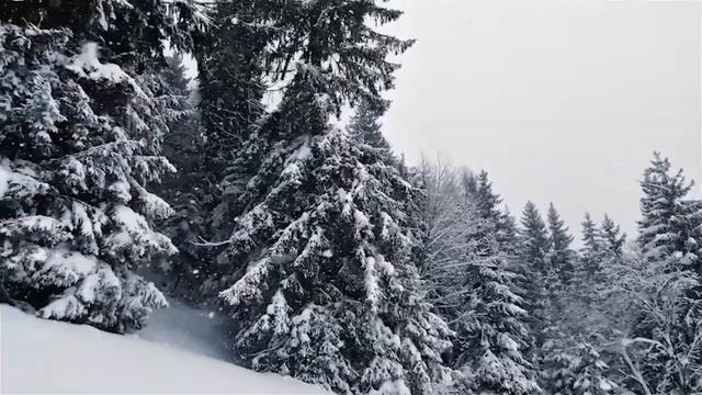 Отличная музыка! Это отличная музыка, просто отличная для души Сергея Чекалина.