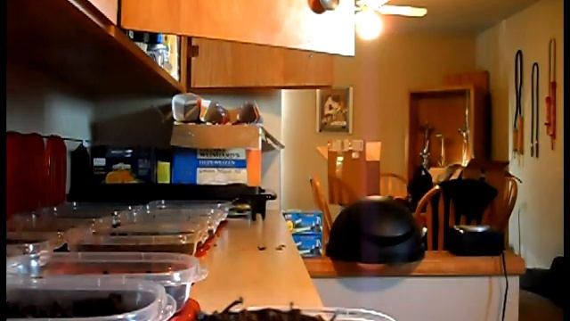 THE HOOKAHJOHN MEGA ORDER - New Tangiers! + Indian Summer смотреть онлайн