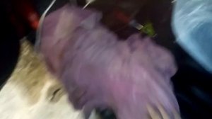 Установка сигнализации на Ниссан Жук 2013 года