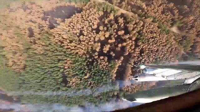 Сводка МО РФ о ходе СВО (15.05.2023 г.)