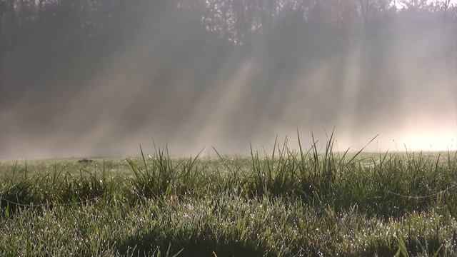 МУТНАЯ ВОДА. Страшные истории на ночь. Страшилки на ночь смотреть онлайн