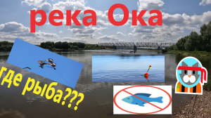 Рыбачу на реке Оке первый раз в 2023 году! Удивлён результатом!!!