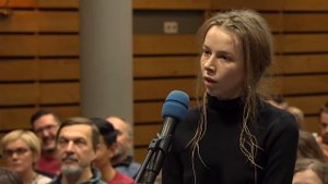 Денис Дзен, фестиваль "Открытый мир-Открытый диалог" Сатсанг.Медитация.10/11/2018