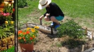 Бордюры для клумб