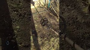 Квазар арм тест на разделение и глубину.