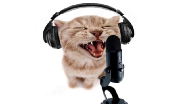 Wise Mystical Tree - ОТКУДА МЕМ? смотреть онлайн