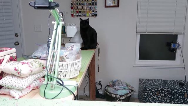 A Cross-Stitch For Momo | DIY смотреть онлайн