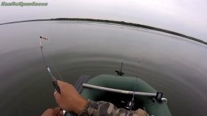 Отличный карась на соску , кормушку и мормышку.