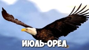 КАКАЯ ТЫ ПТИЦА ПО ДАТЕ РОЖДЕНИЯ