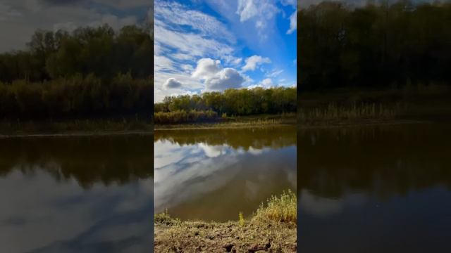 #nature #природа #summer #siberian #природасевера #forest #лес #river #река #beautiful