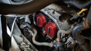 Ford Transit Custom 2.0 Diesel Ecoblue wet timing belt replacement