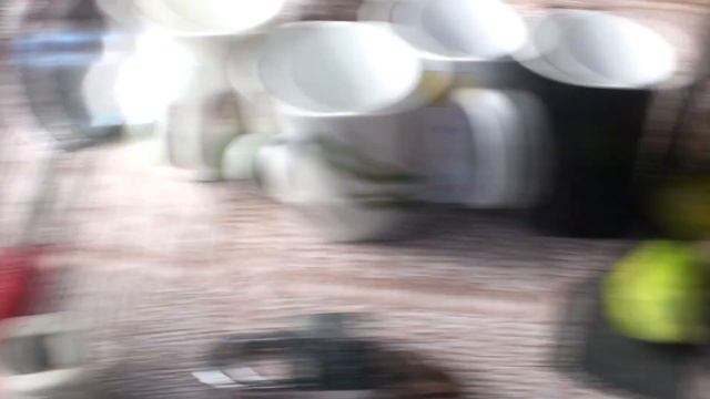 Летние грибы сбор и приготовление. смотреть онлайн