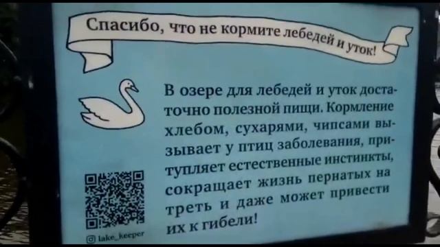 Светлогорск часть 2 / Раушен / Достопримечательности Калининграда/ Прусско-Германское наследие смотреть онлайн