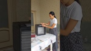 Вкусная пастила на  KITFORT! обзор на сушилку для овощей и фруктов KITFORT KT-1908.