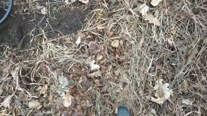 Коп на старой дороге. Весенний коп 2021.