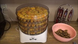 Zelmer 36z011 ГОТОВИМ СУХОФРУКТЫ С ПОМОЩЬЮ  СУШИЛКИ. ВЕСЬ ПРОЦЕСС СУШКИ  от А  до  Я.