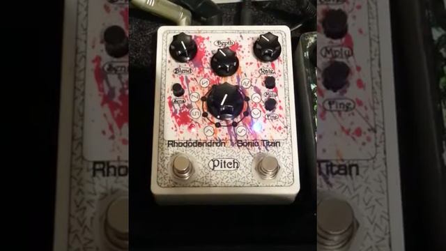 Rhododendron Pitch - Vibrato Only! смотреть онлайн