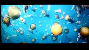 Обзор работы медиаплеера Dune HD Solo Lite.