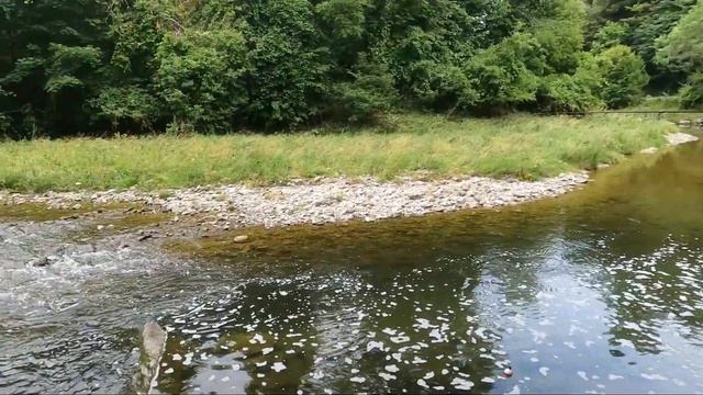 Colonel Danforth Park in Scarborough  Urban Fishing Locations in The GTA