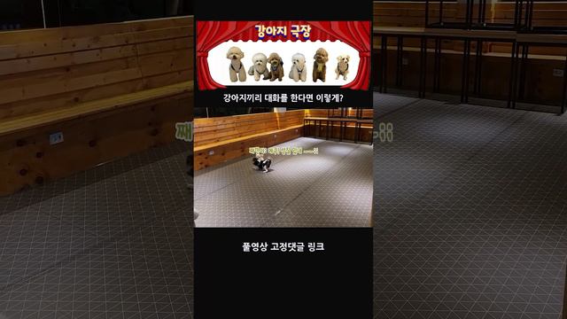 [강아지 극장] 이쁜강아지의 성격은 어떨까? смотреть онлайн