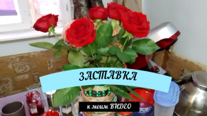 Нужна ли ТАКАЯ ЗАСТАВКА  к моим видео?