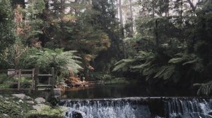 Интересная история!