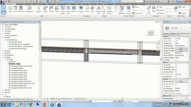 Revit Structure Reinforcement Detailing