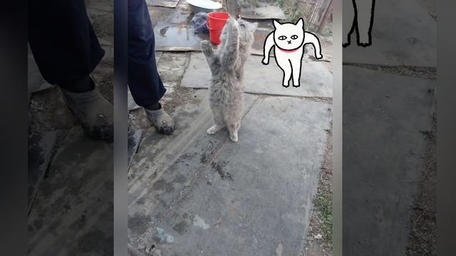 Живу на даче ✊🏻🤗 смотреть онлайн